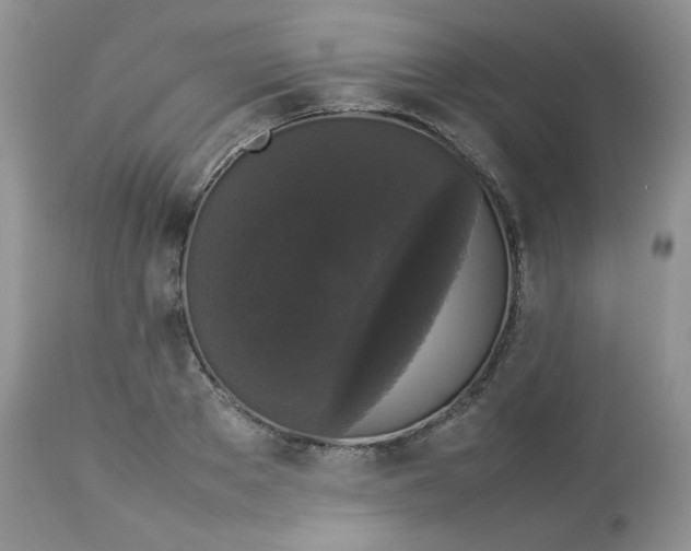 X0000112830889200909111355