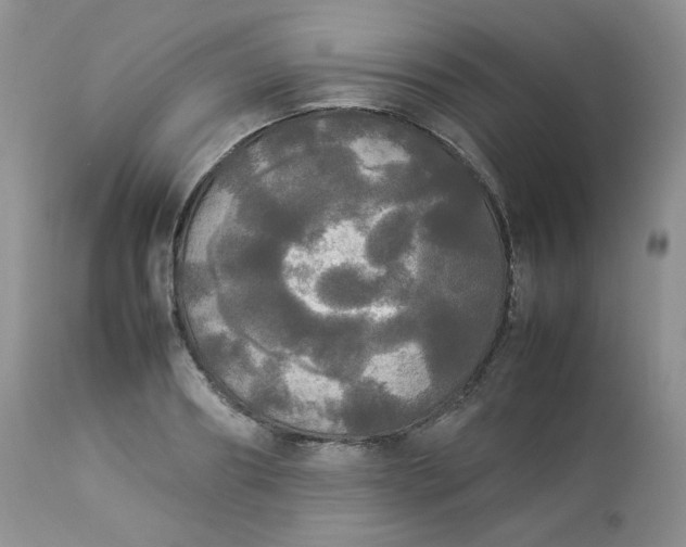 X0000112830890200909111355