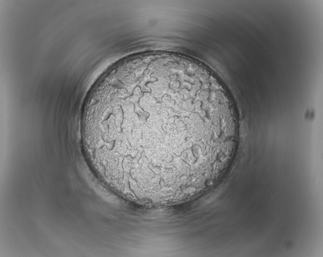 X0000112830891200909111355