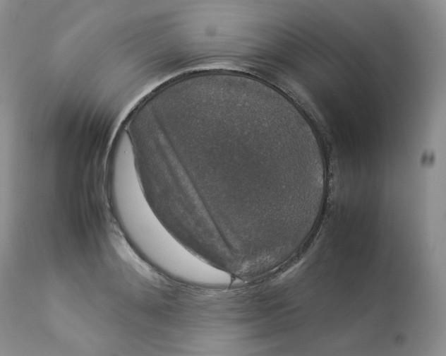 X0000112830892200909111355