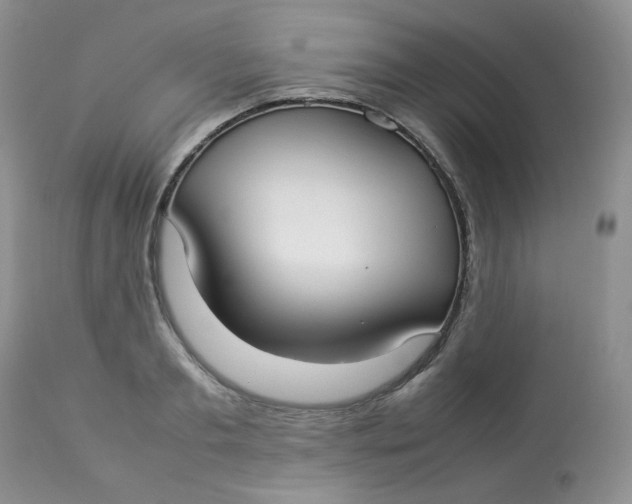 X0000112830893200909111355