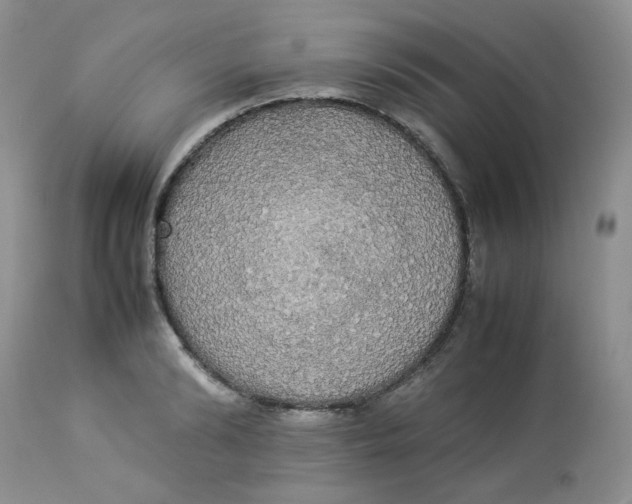 X0000112830894200909111355