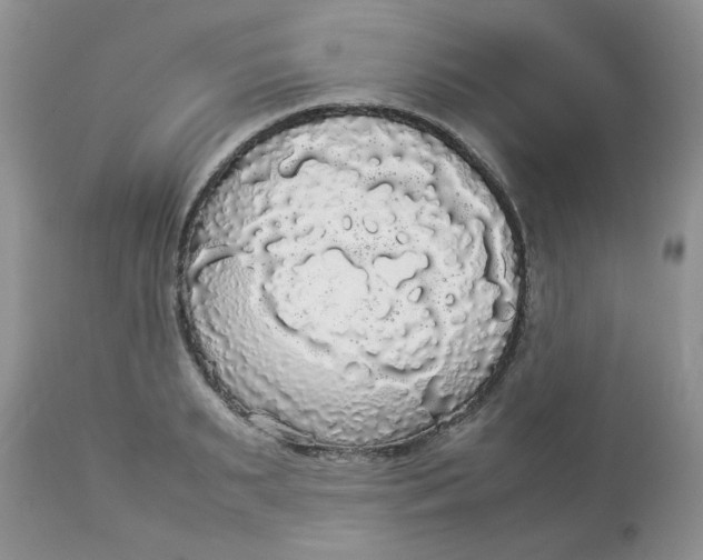 X0000112830895200909111355