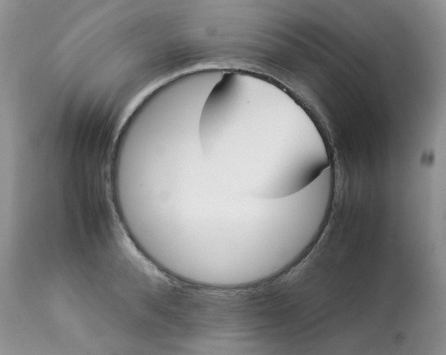 X0000112830896200909111355