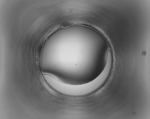 X0000112830897200909111355