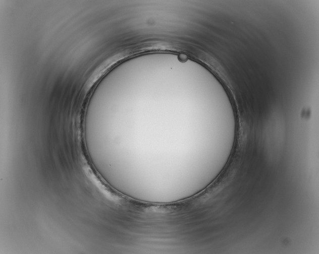 X0000112830898200909111354