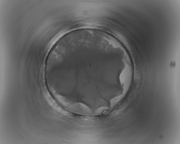 X0000112830899200909111354