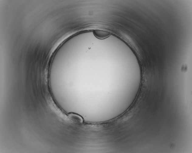 X0000112830900200909111354