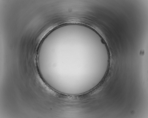 X0000112830901200909111354