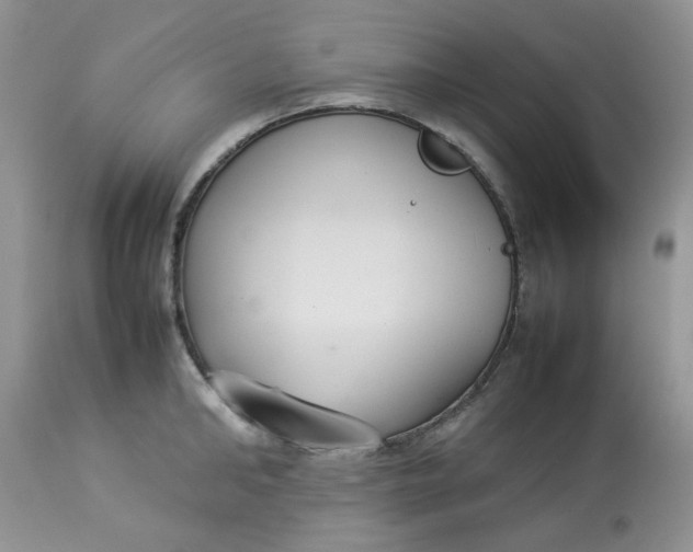 X0000112830902200909111354