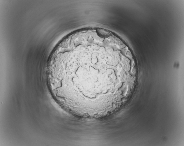 X0000112830903200909111354