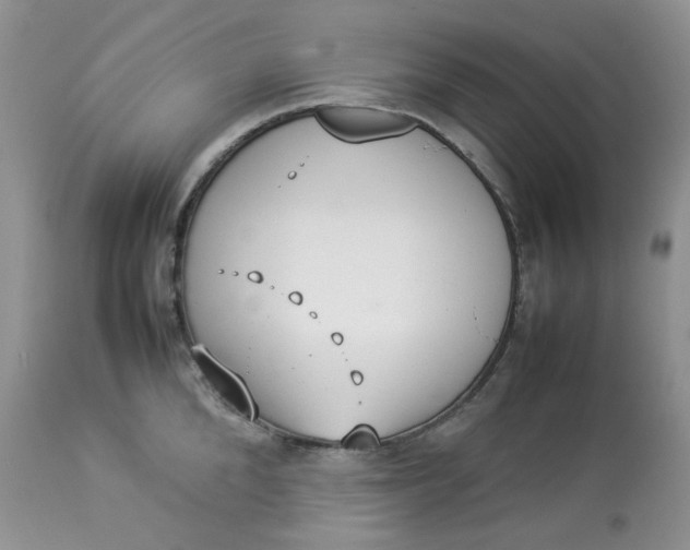 X0000112830904200909111354