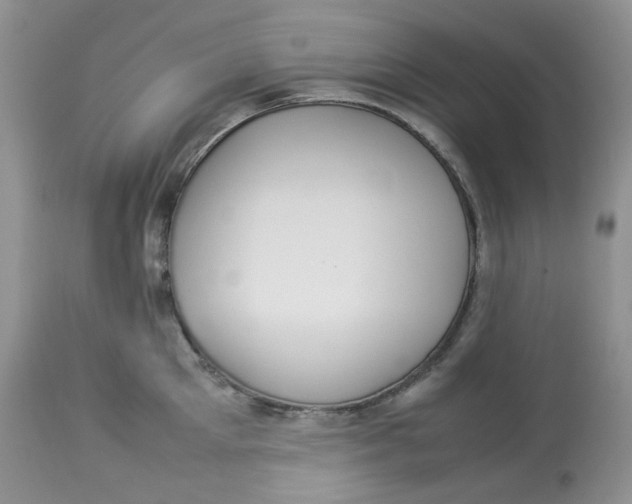 X0000112830905200909111354