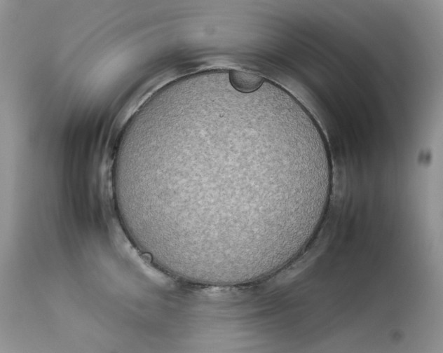 X0000112830906200909111354