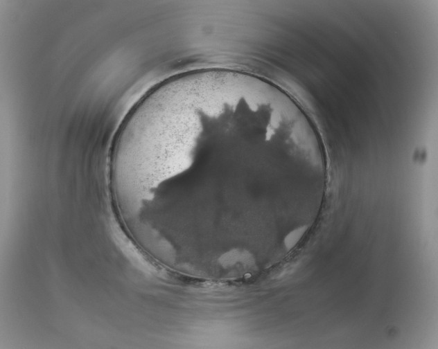 X0000112830907200909111354