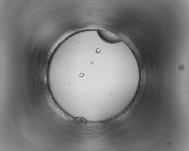 X0000112830908200909111354