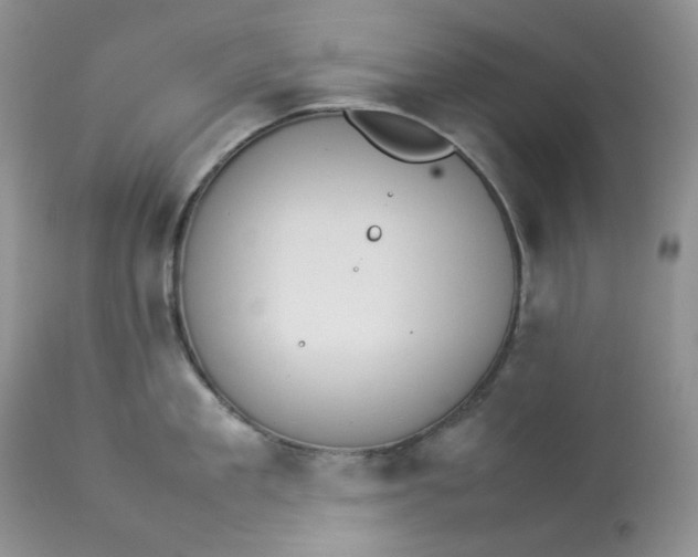 X0000112830909200909111354