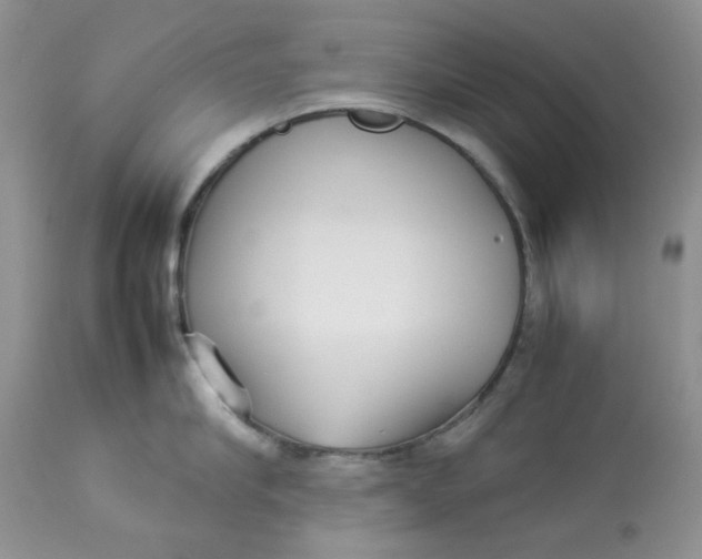 X0000112830910200909111354