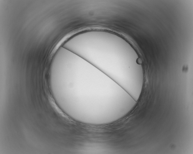 X0000112830911200909111354