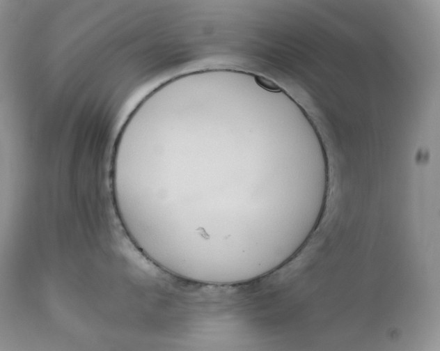 X0000112830912200909111354