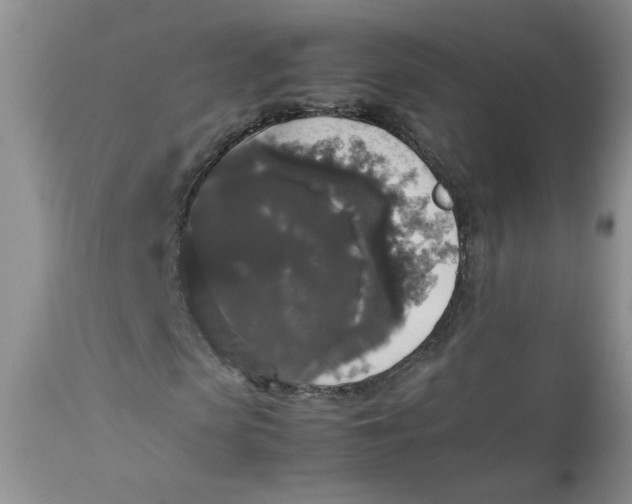 X0000112830913200909111354