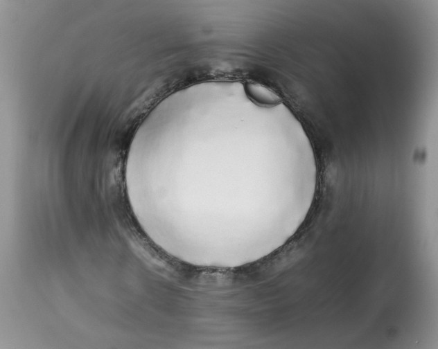 X0000112830914200909111354