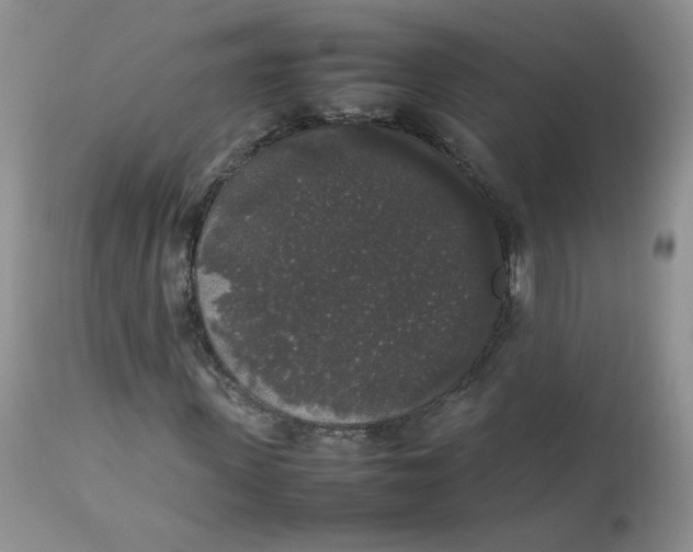 X0000112830915200909111354