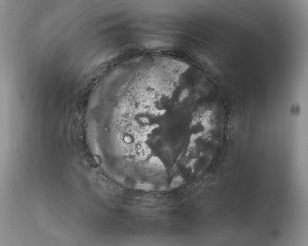 X0000112830917200909111354