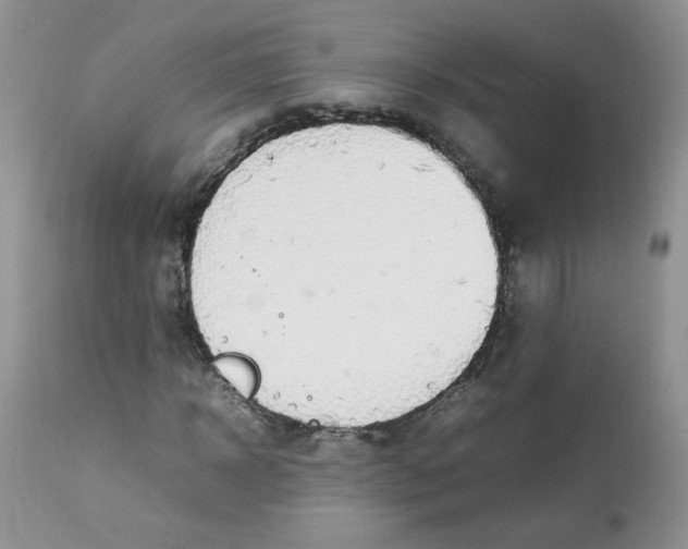 X0000112830918200909111354