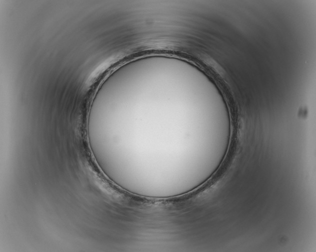 X0000112830922200909111354