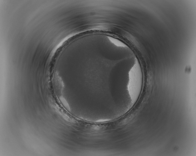 X0000112830923200909111354