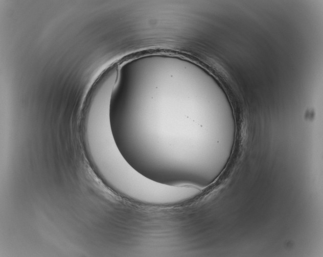 X0000112830924200909111354