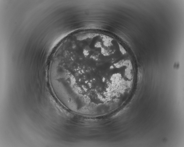 X0000112830925200909111354