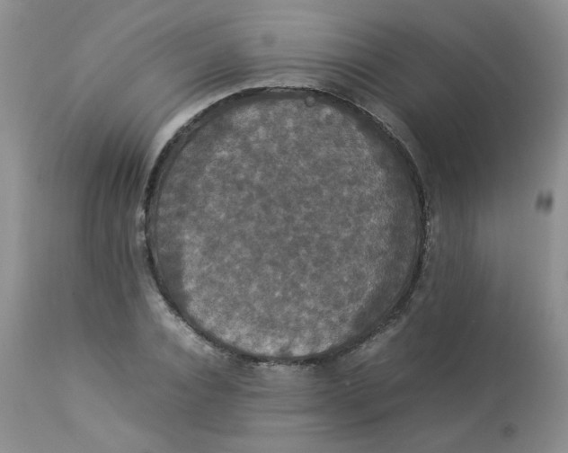 X0000112830928200909111354