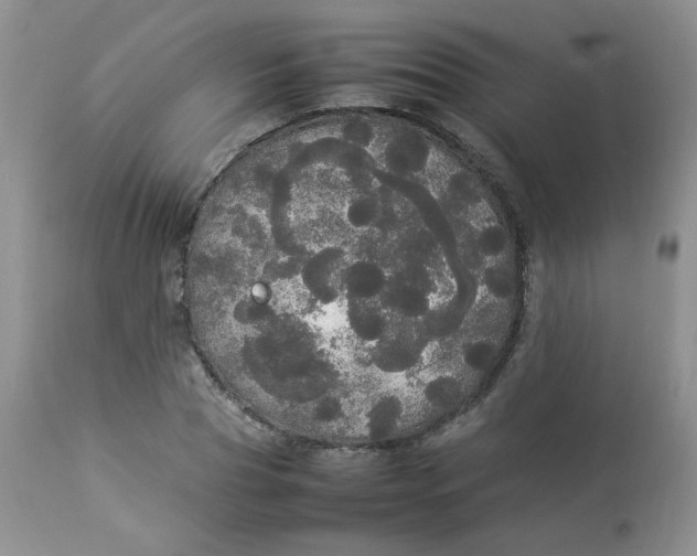 X0000112830929200909111354