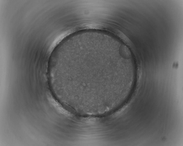 X0000112830930200909111354