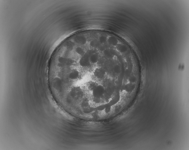 X0000112830933200909111354