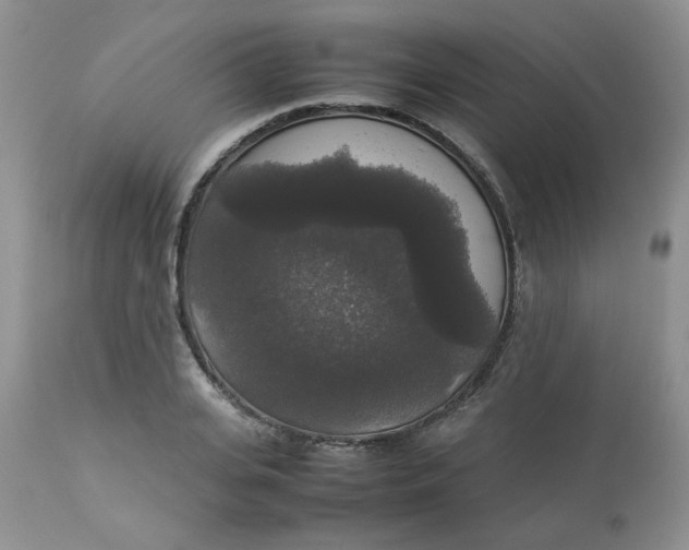 X0000112830935200909111354