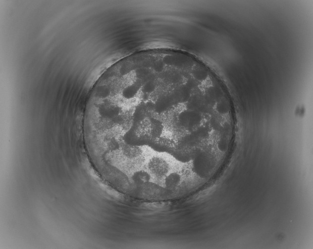 X0000112830937200909111354