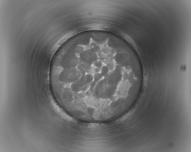 X0000112830938200909111354