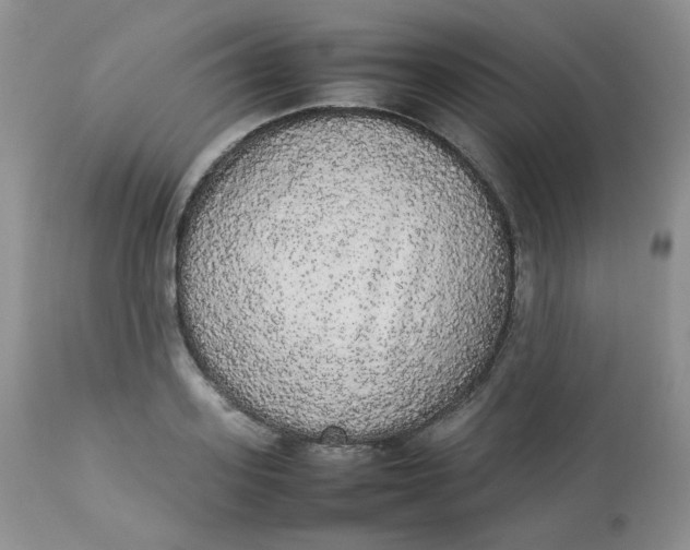 X0000112830939200909111354