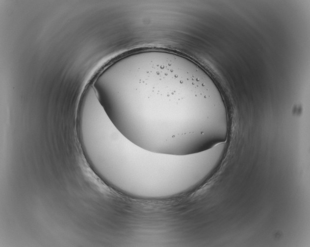 X0000112830940200909111354