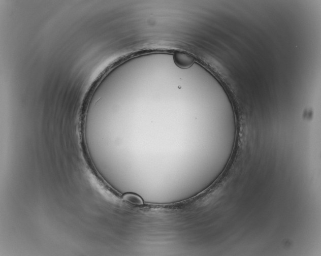 X0000112830942200909111354