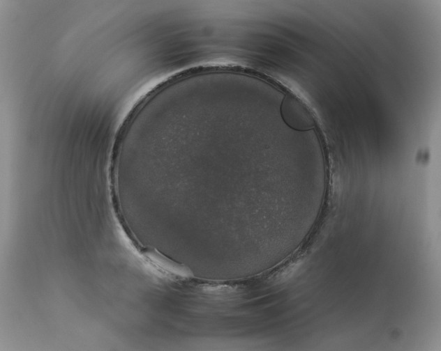 X0000112830943200909111354