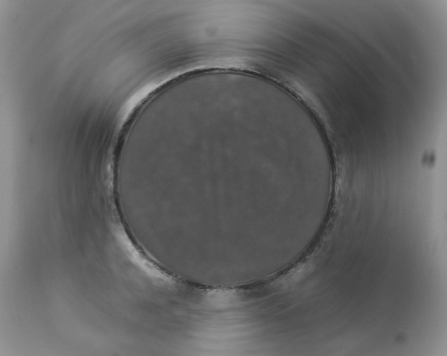 X0000112830944200909111354