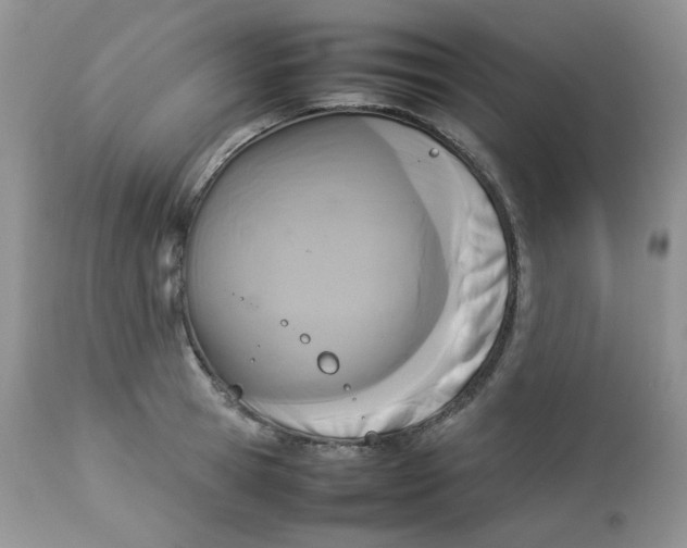 X0000112830945200909111354