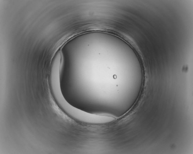 X0000112830946200909111354