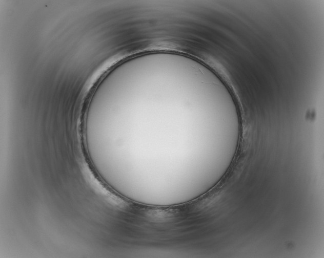 X0000112830947200909111354