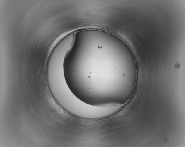 X0000112830948200909111354