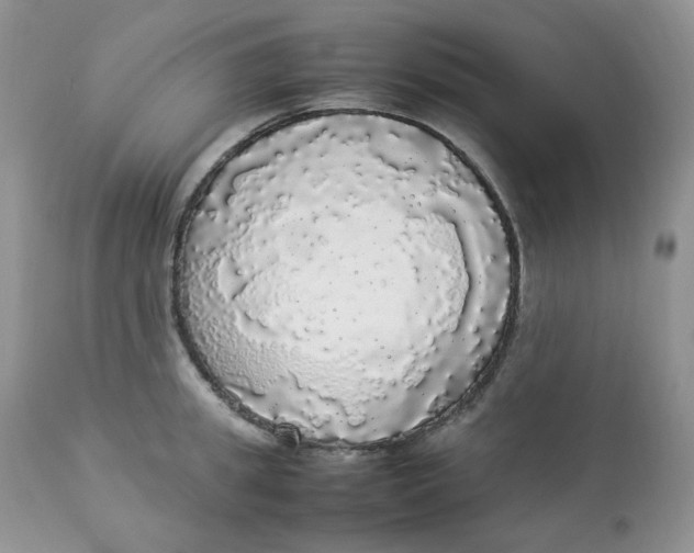 X0000112830949200909111354